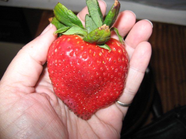 [giantsrawberry.jpg]