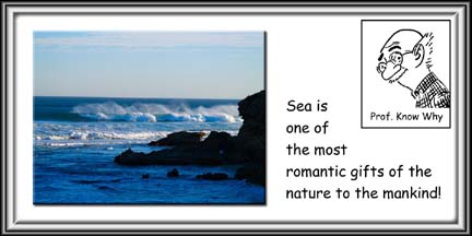 [Sea+the+beauty+of+nature.jpg]