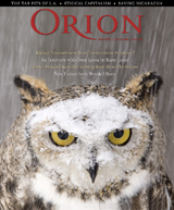 [Owl+Cover.jpg]