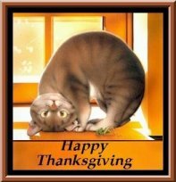 [cat_thanksgiving.jpg]