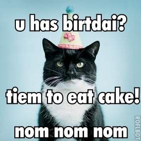 [cat_birthday.jpg]