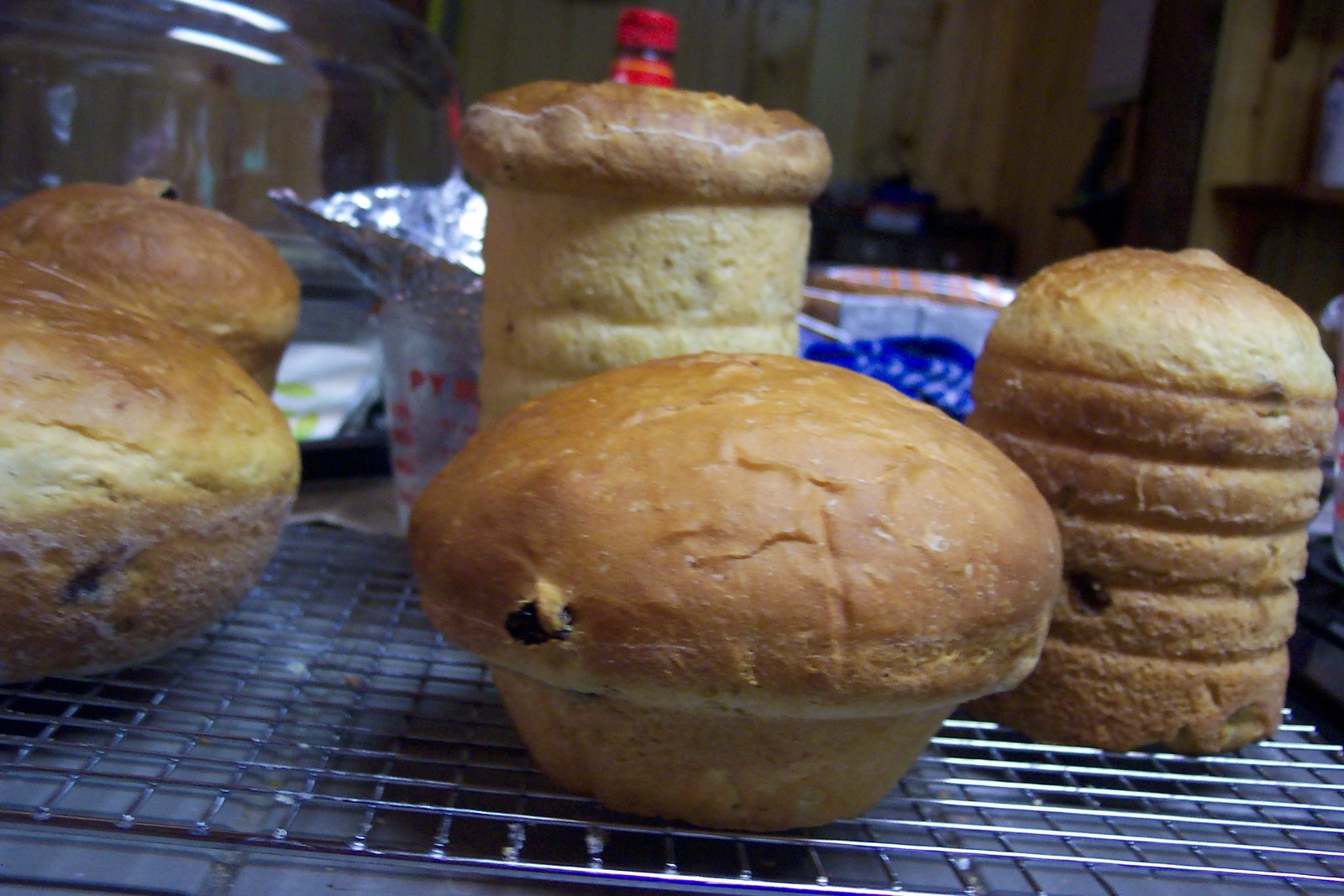 [kulich+cooling+from+side.jpg]