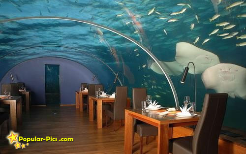 [underwater-restaurant-5.jpg]