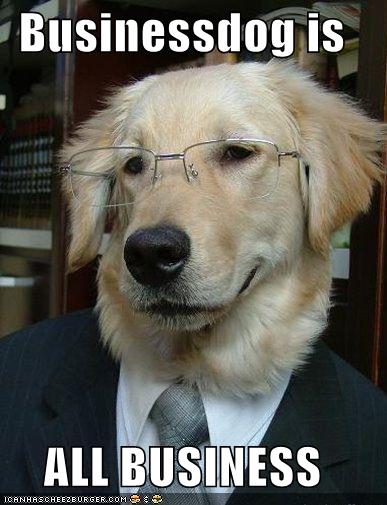 [businessdog-is-all-business.jpg]