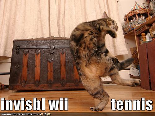 [funny-pictures-invisible-wii-tennis-cat.jpg]
