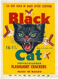 [Black+Cat+1b.jpg]
