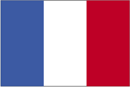 [large_flag_of_french_guiana.gif]