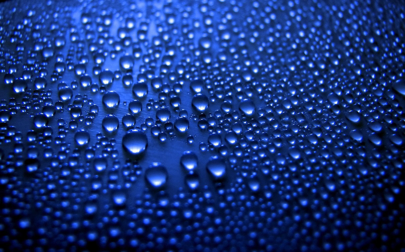 [Rain-drops-II.jpg]