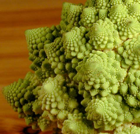 [broccoflower-fractal.jpg]