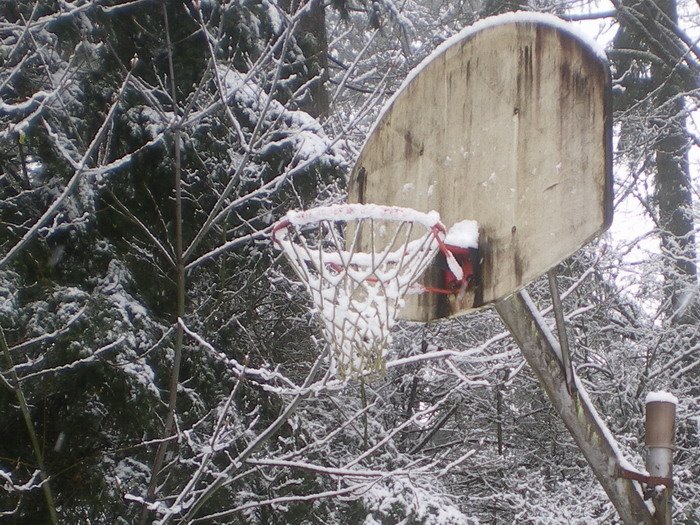 [basketball+snow.jpg]