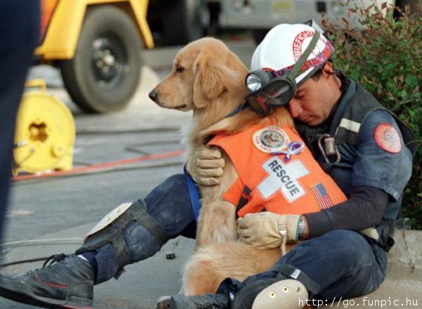 [rescue+dog+and+fireman.jpg]