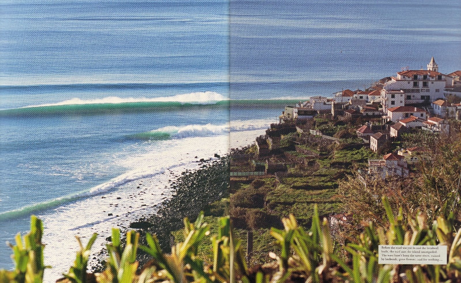 [Ponta+Jardim+Surfer]