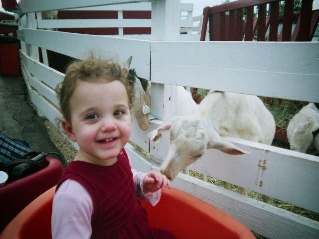 [Sarah+Likes+Goats.jpg]
