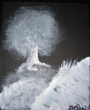 [white+tree+dark+night.jpg]