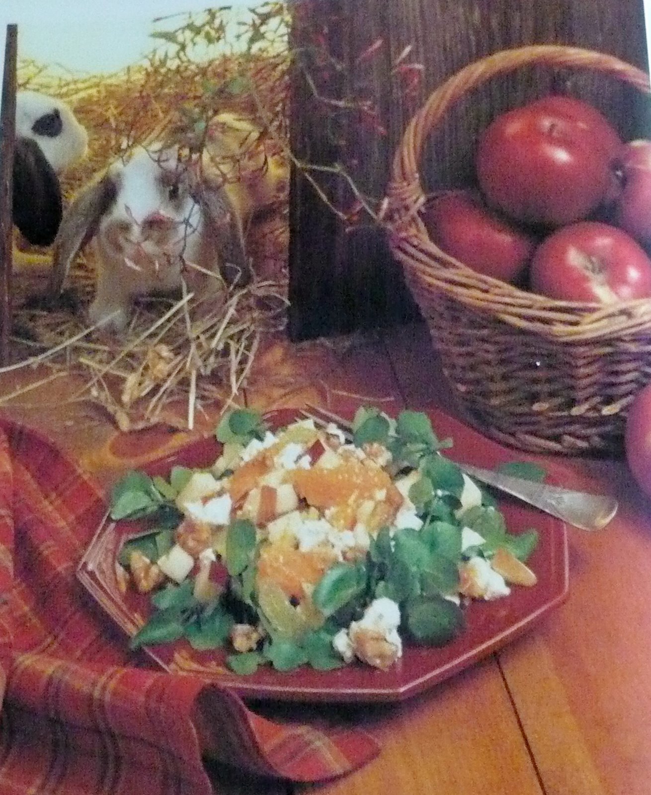 [Apple-Tangerine+Salad.jpg]