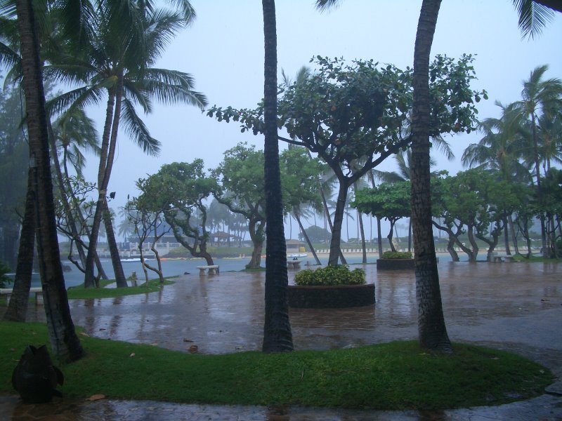 [Hawaii+Rain.JPG]
