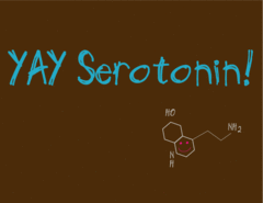 [serotonin.gif]