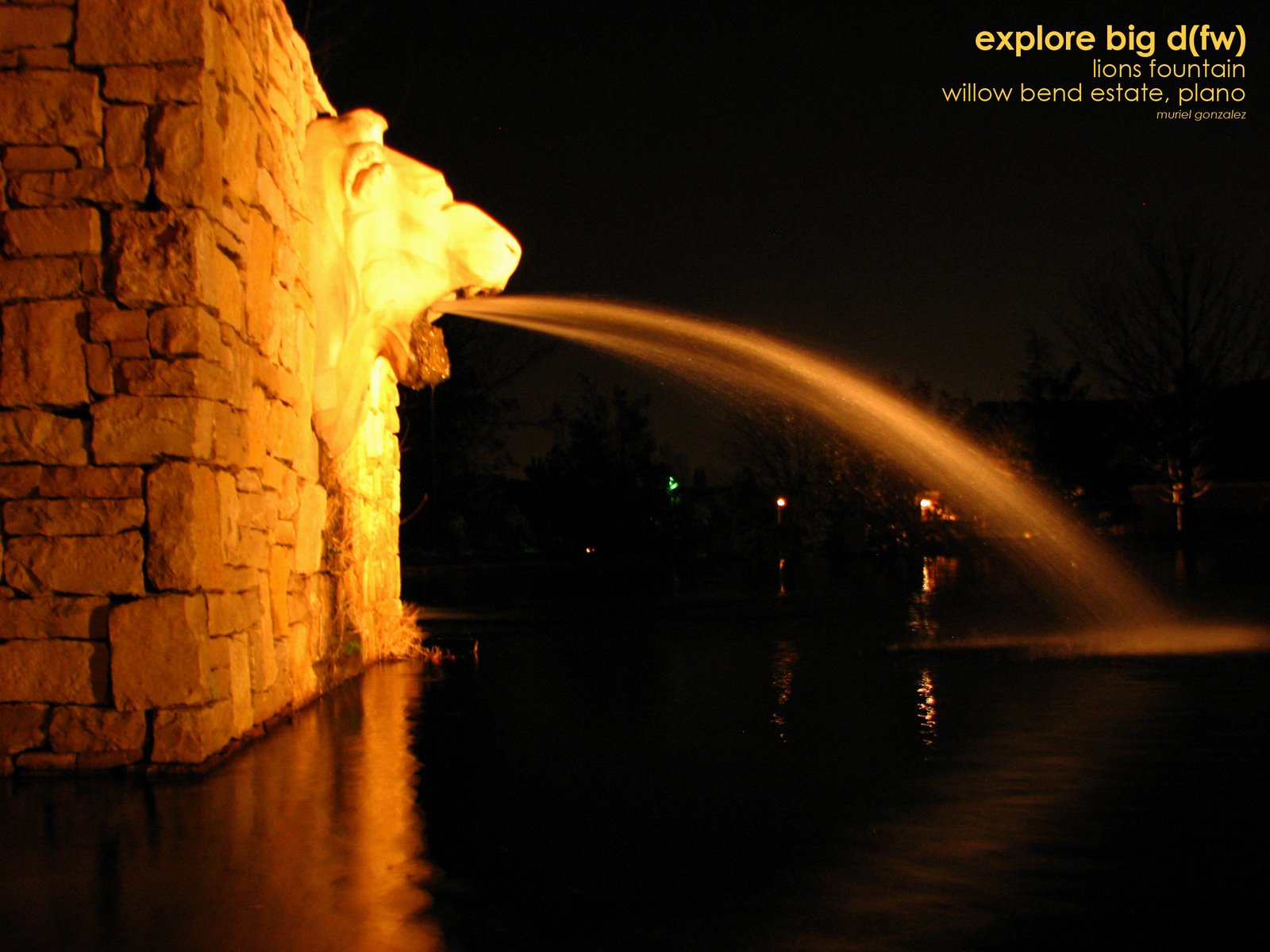 [lions+fountain+bigdfw.jpg]