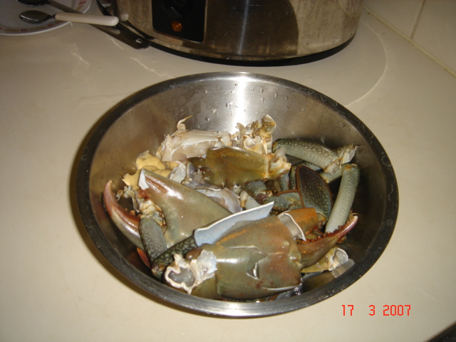 [Cooking+Crab+2007+002.jpg]
