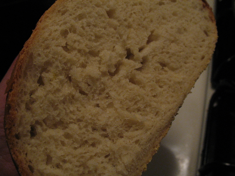 [No-Knead+Hearth+Bread+09_1_1.JPG]