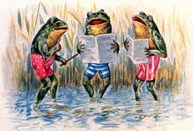 [frogs1.jpg]