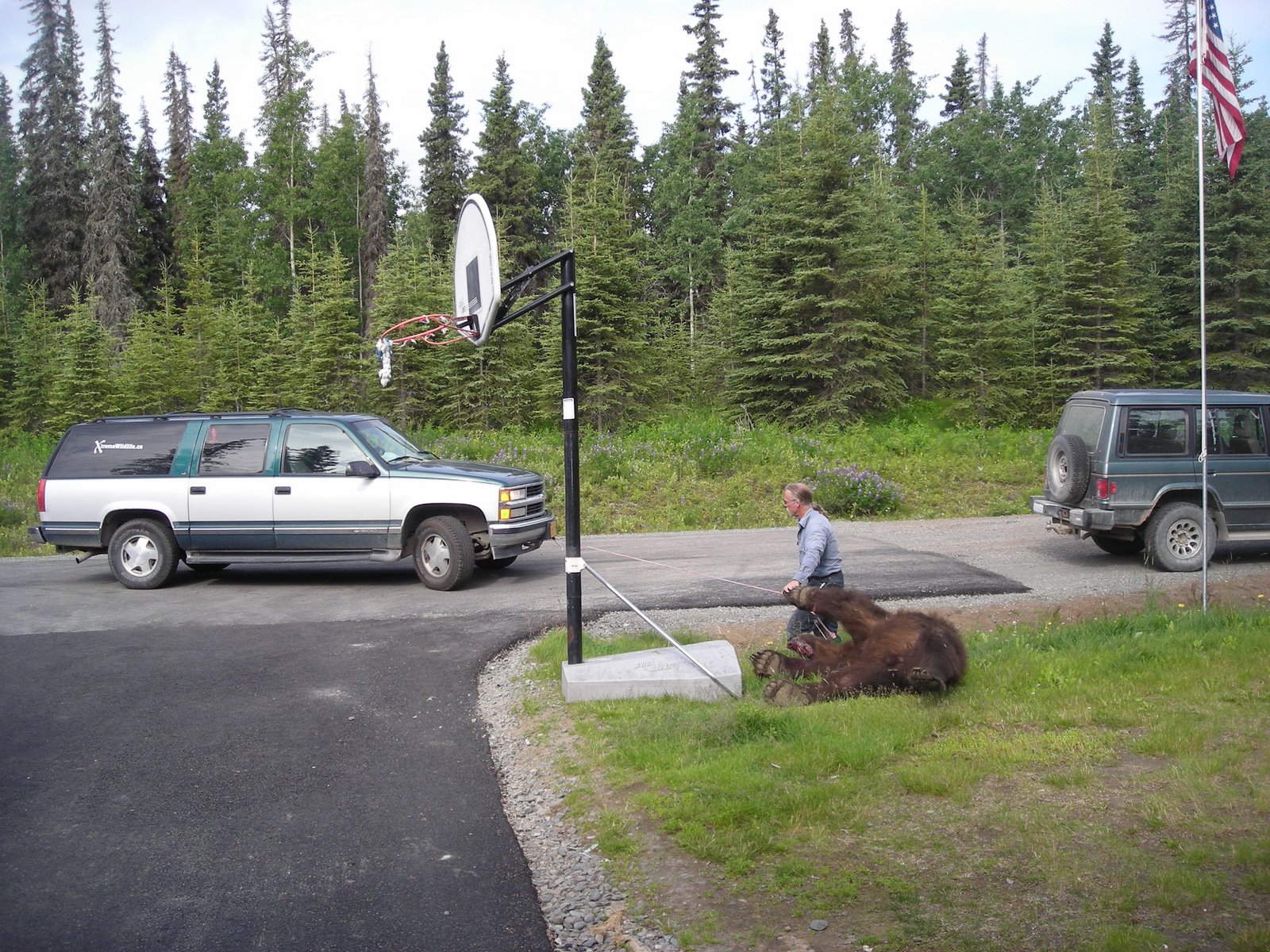 [#010-Alaska+method+of+bear+transportation.jpg]