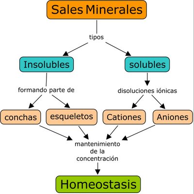 [sales_minerales.jpg]