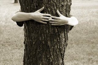 [iStock_tree+hugger.jpg]