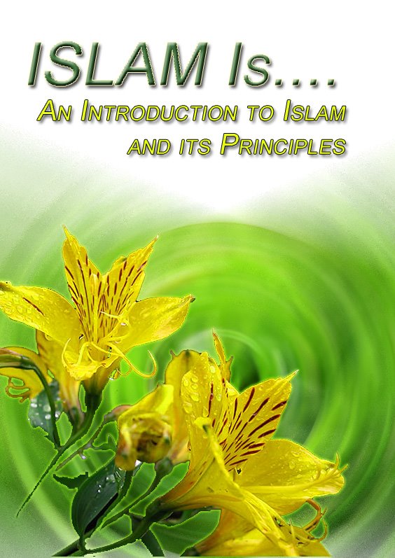 [Intro_Islam.JPG]