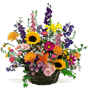 [miami_birthday_flowers_florist_miami_j.jpg]