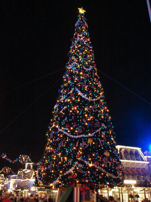 [christmas+tree+night+lighting.jpg]