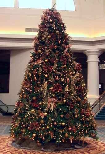 [christmas_tree-decorated.jpg]