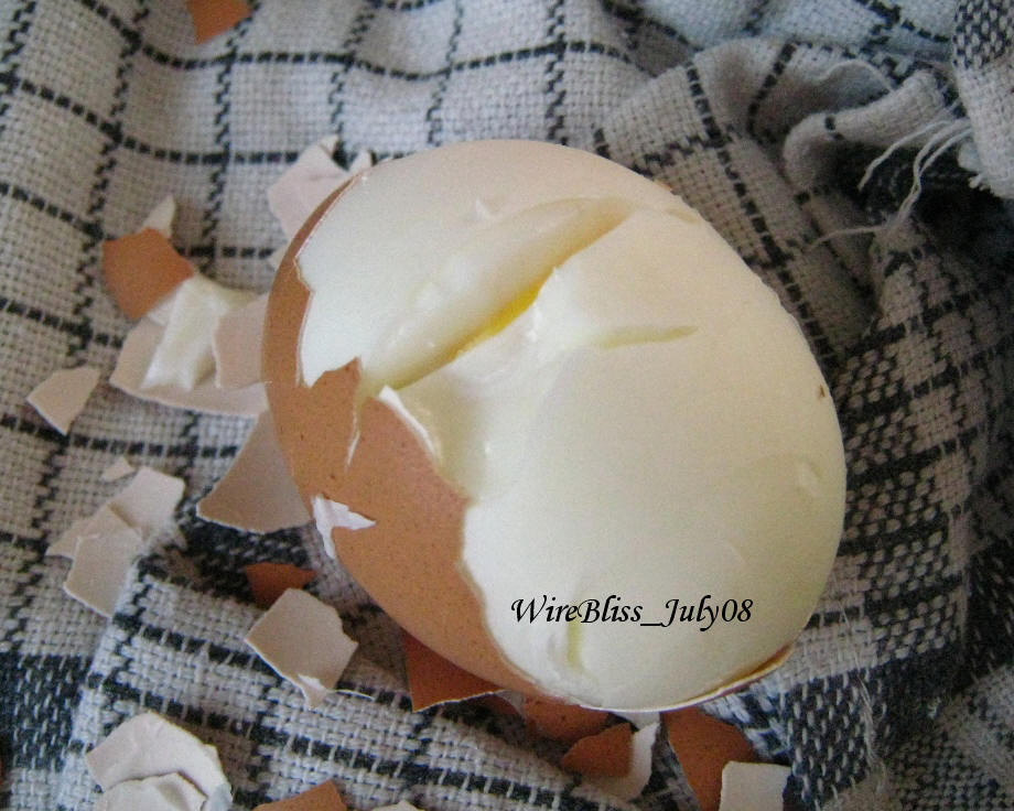 removing the egg shell