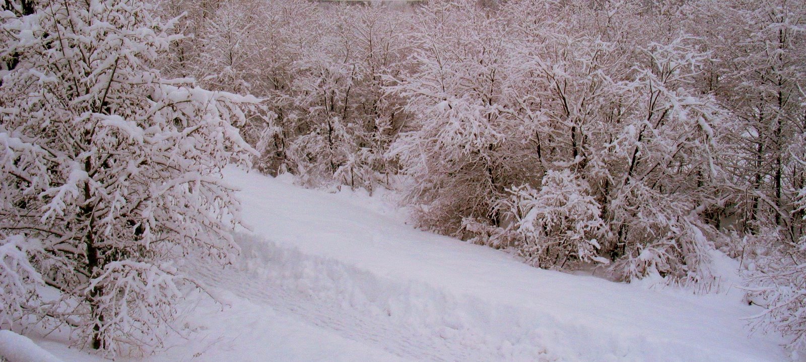 [4+feet+of+snow+on+path.jpg]