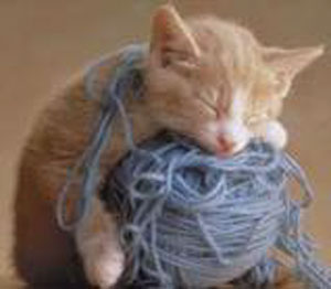 [yarn+kitty.jpg]