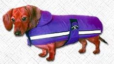 [small+dog+safety+vest.jpg]