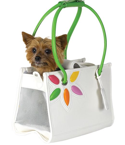 [dog+bag.jpg]