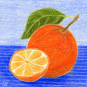 [dibujo++naranjas.jpg]
