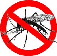 [no+mosquitoes+jpg.jpg]