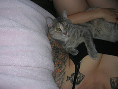images of kitty cat tattoo