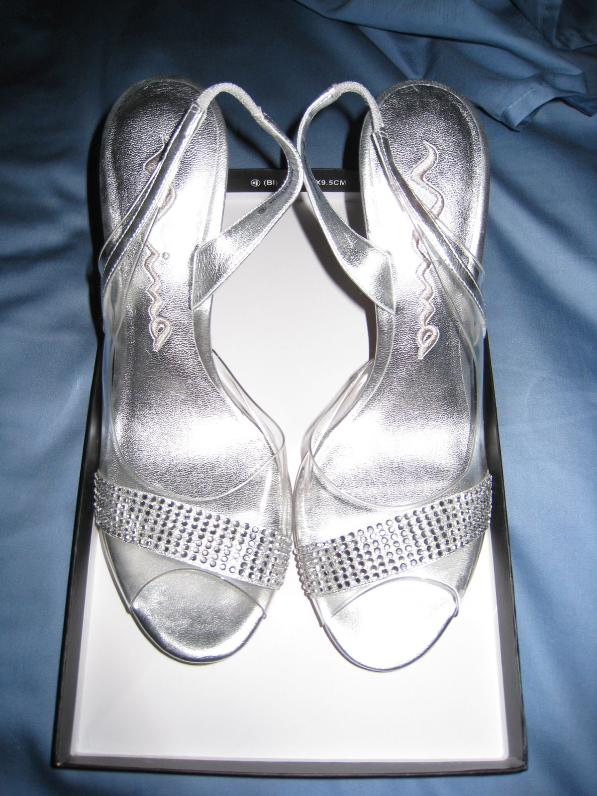 [silvershoes.JPG]