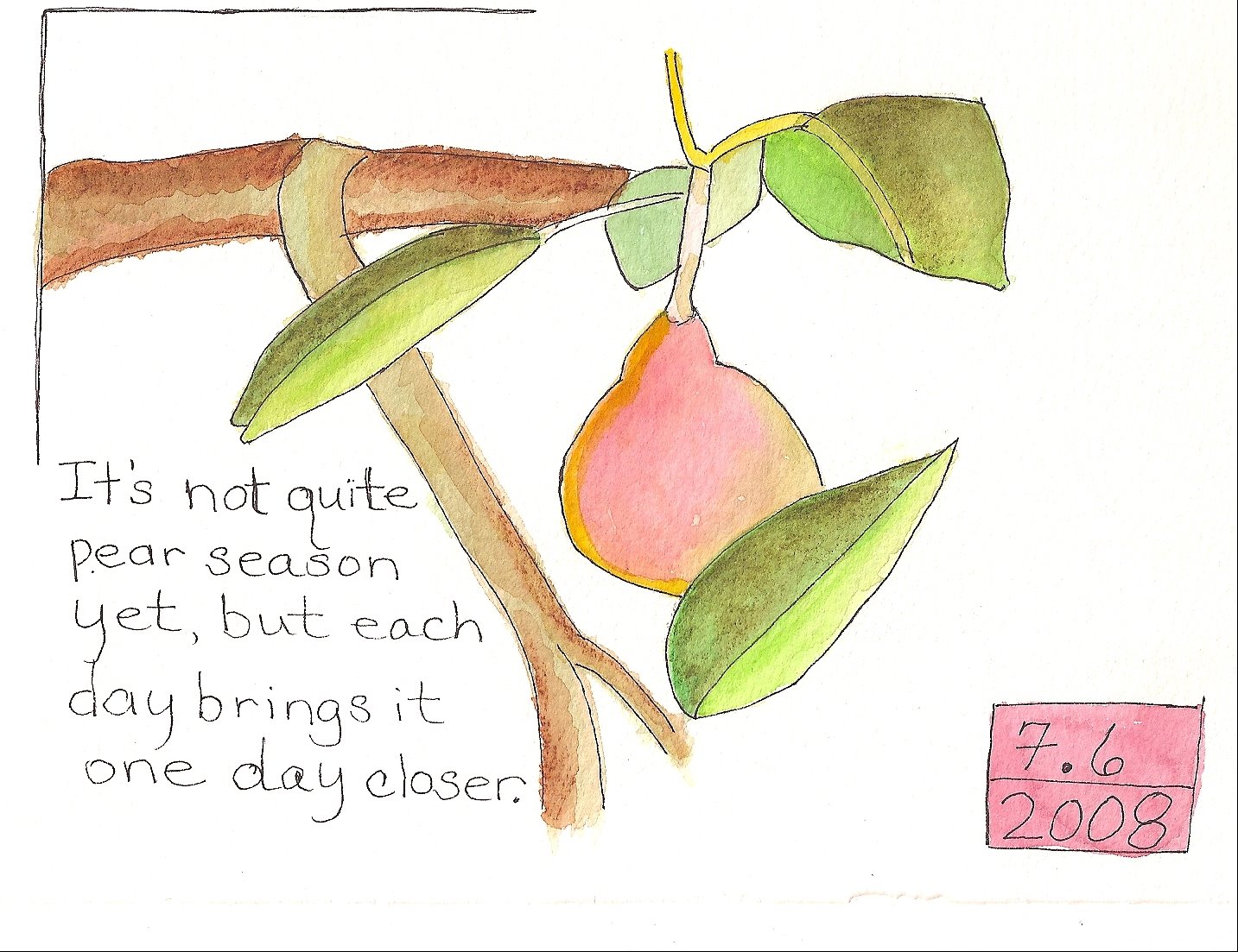 [Pear+tree+journal+7.6.08.jpg]
