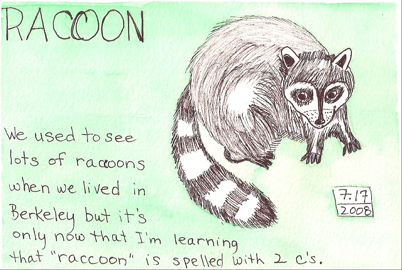 [raccoon.jpg]