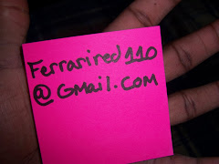 Ferrari 110 Email