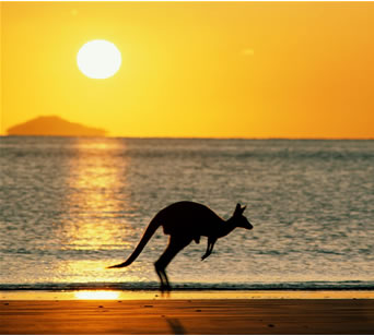 [australia_kangaroo.jpg]