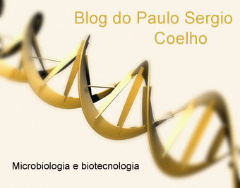 Blog do Paulo Sergio Coelho