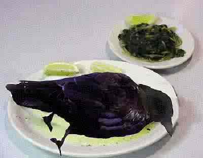 [eat-crow.jpg]