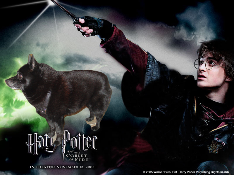 [Max+Potter.jpg]