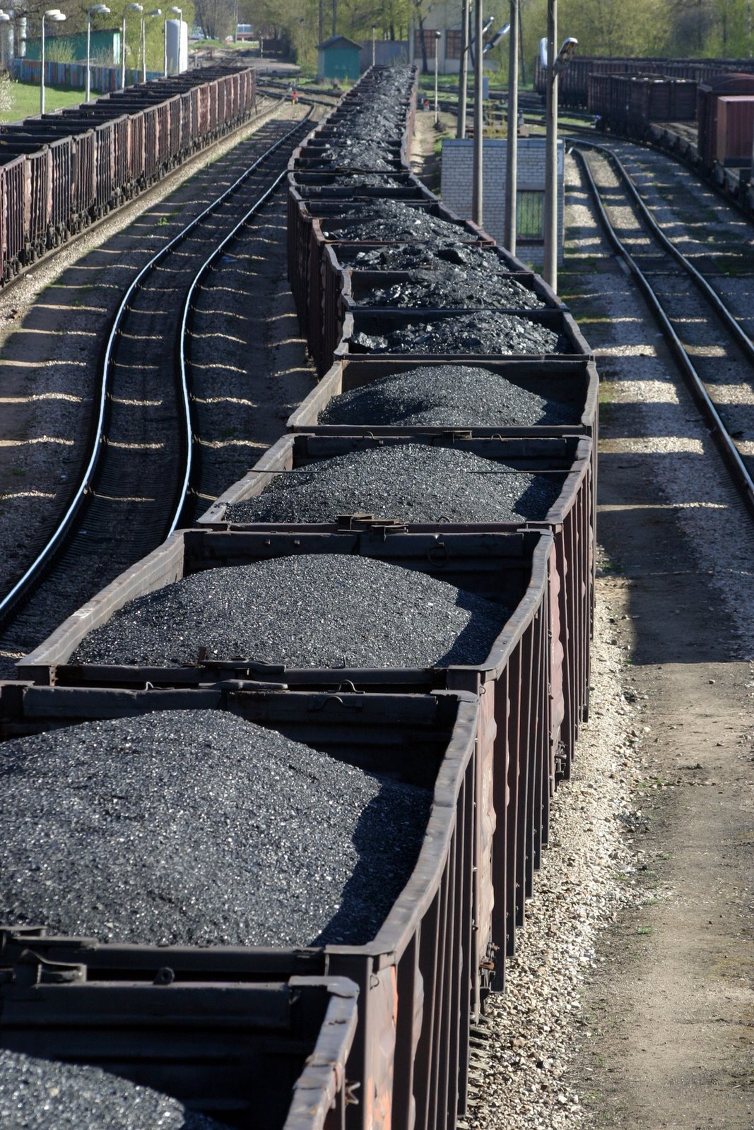 [Coal+Traini.jpg]