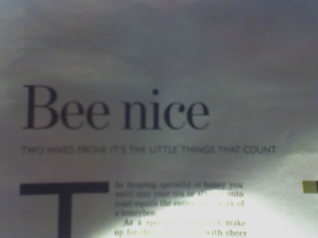 [Bee+never+nice.jpg]